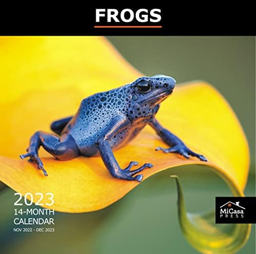 מיקסה צפרדעים 2023 לוח השנה החודשי לתלייה | 12 x 24 פתוח | נייר עבה ויציב | מתנה | ילדים צפרדעים אסטסטיות